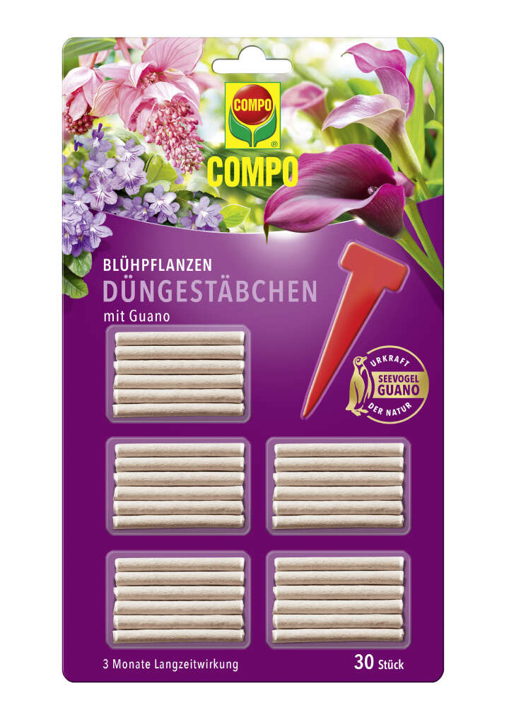 COMPO Düngestäbchen mit Guano für Blühpflanzen
